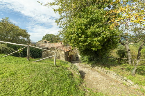 Photo 62 - Maison de 5 chambres à Cortona avec piscine privée et jardin