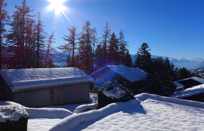 Apartamento de 3 quartos em Icogne - Foto 34