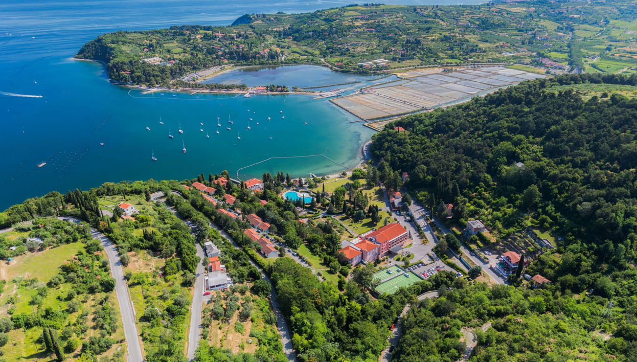 Appartement de 1 chambre à Piran avec piscine et jardin - Photo 1
