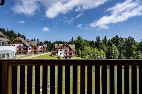 Foto 4 - Appartamento con 2 camere da letto a Hoče-Slivnica con piscina e giardino