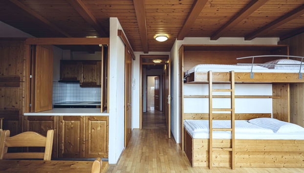 Apartment mit 3 Schlafzimmern in Hoče-Slivnica mit schwimmbad und garten - Foto 3