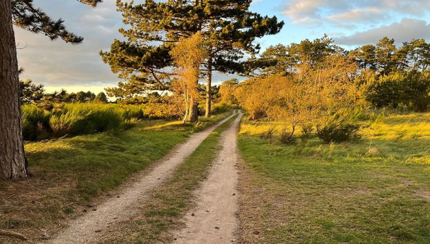 Haus mit 3 Schlafzimmern in Fårevejle mit terrasse - Foto 3