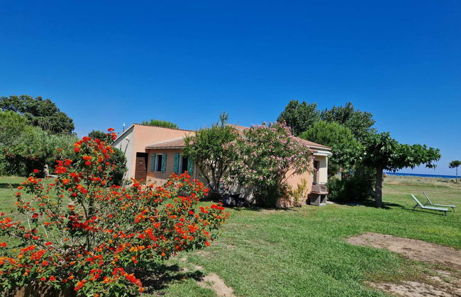 Apartment mit 2 Schlafzimmern in Poggio-Mezzana mit garten und terrasse - Foto 2