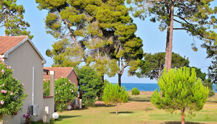 Foto 1 - Appartamento con 1 camera da letto a Poggio-Mezzana con terrazza e vista mare