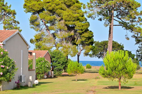 Foto 1 - Apartment mit 1 Schlafzimmer in Poggio-Mezzana mit terrasse und blick aufs meer