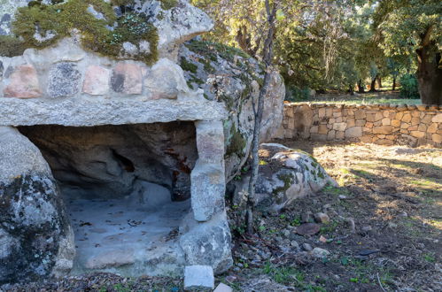 Foto 61 - Casa con 3 camere da letto a Sant'Antonio di Gallura con piscina privata e giardino