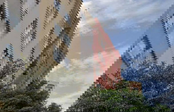 Malaga Palo - Foto 26