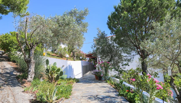 Angelina Studios - Foto 3