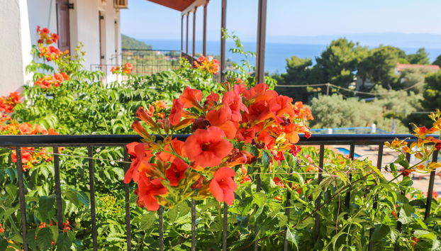 Angelina Studios - Foto 4