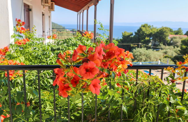 Angelina Studios - Photo 4