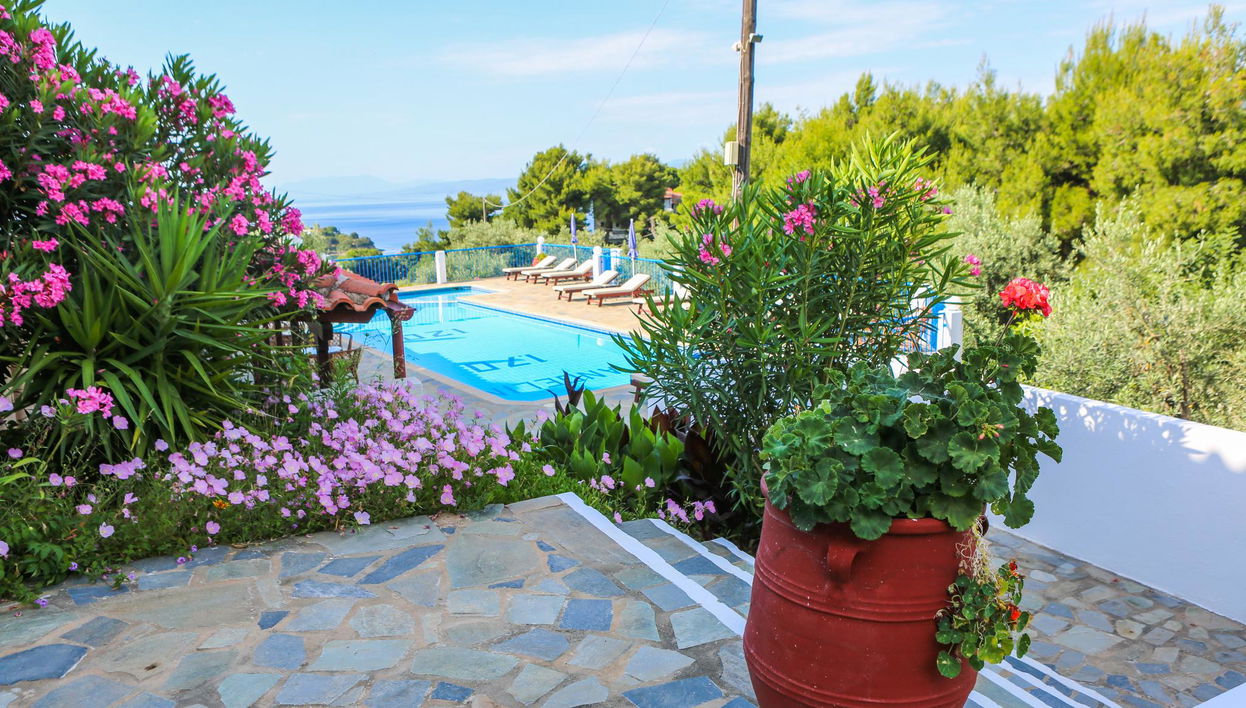 Angelina Studios - Foto 1