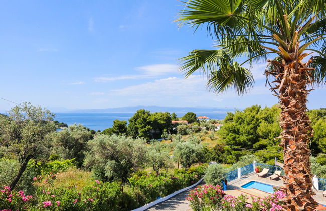 Angelina Studios - Photo 10