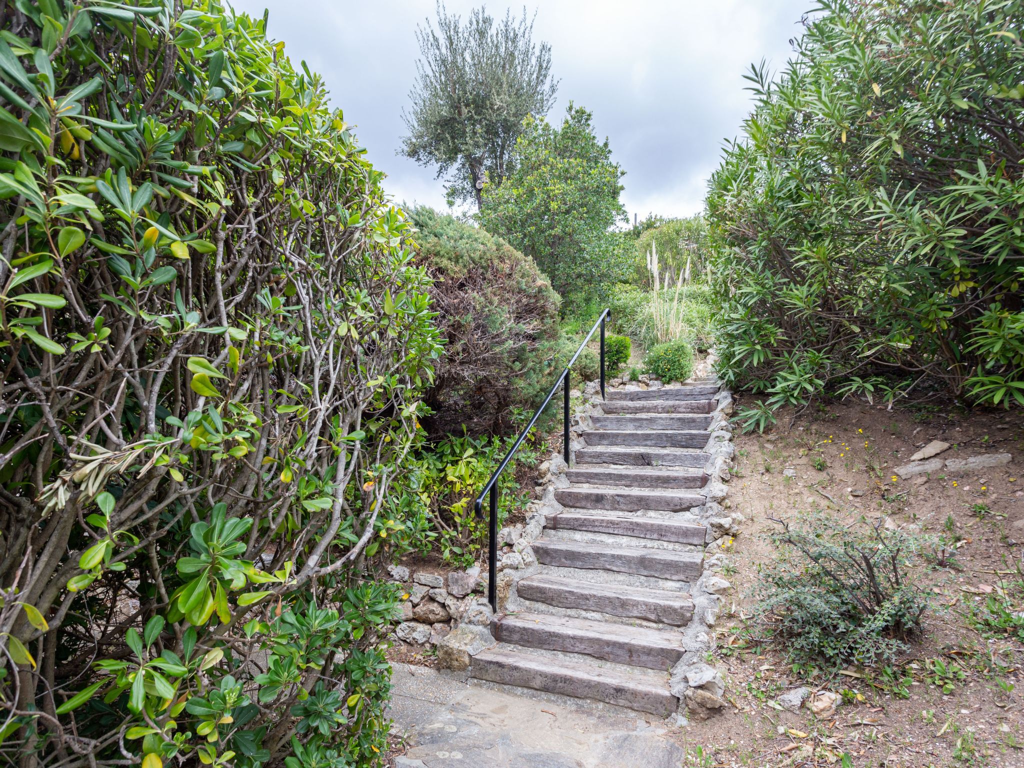 Photo 19 - Apartment in Le Lavandou with swimming pool and garden