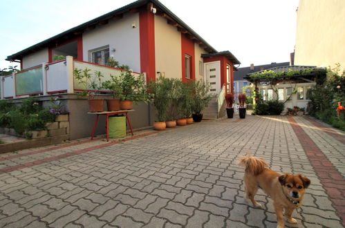 Photo 28 - Appartement de 2 chambres à Gloggnitz avec jardin