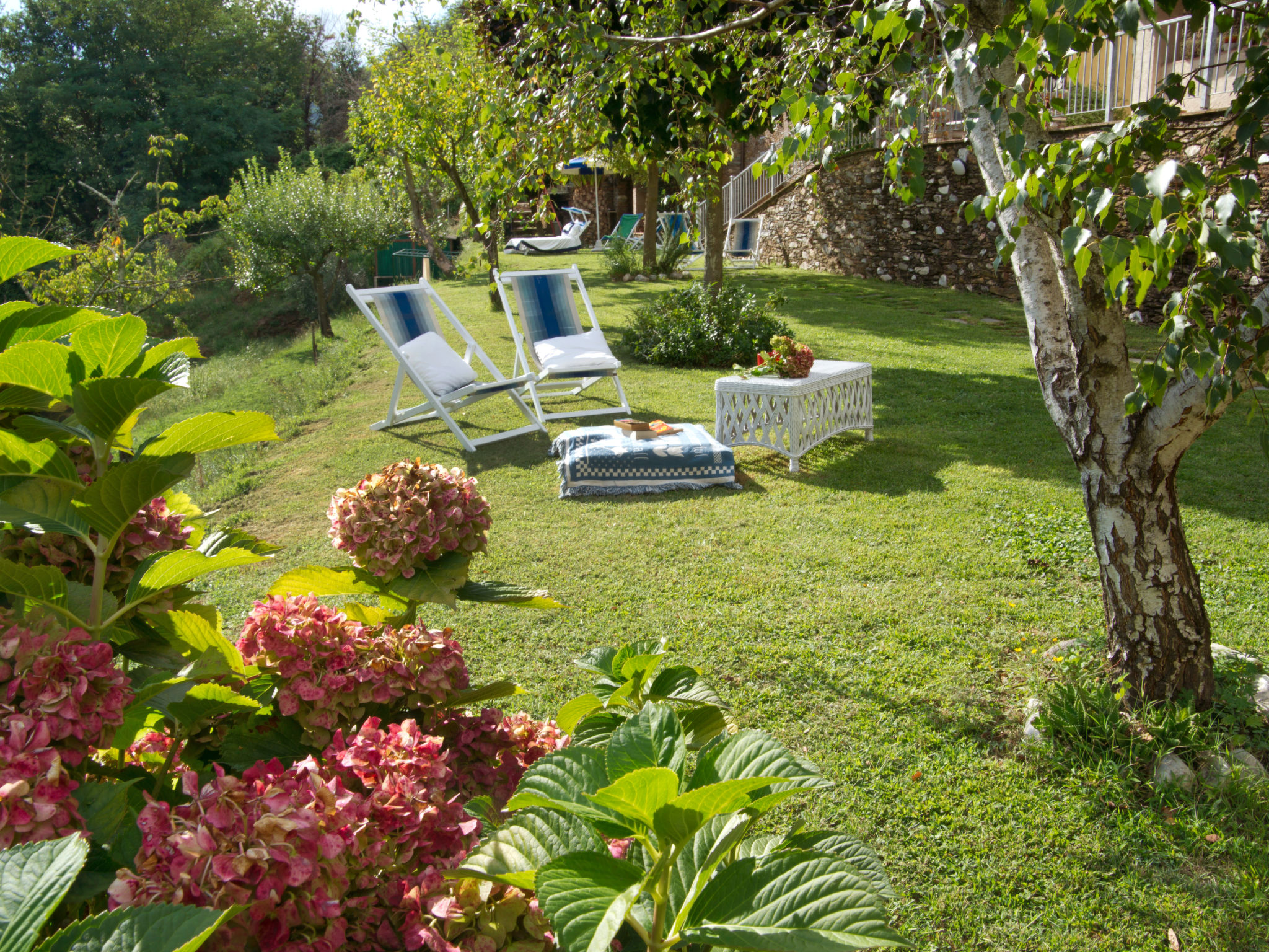 Photo 5 - Maison de 2 chambres à Seravezza avec piscine privée et jardin