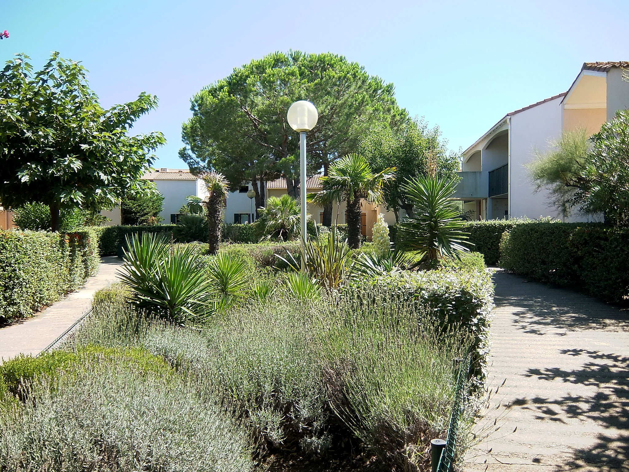 Photo 25 - Maison de 1 chambre à Saint-Cyprien avec piscine et vues à la mer