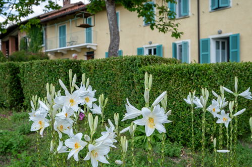 Foto 20 - Casa de 2 habitaciones en Cortazzone con piscina y jardín