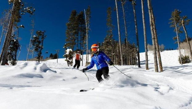 The Pines Lodge - Foto 5