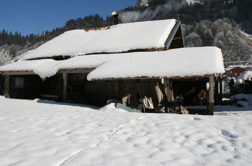 Foto 12 - Appartamento con 1 camera da letto a Kandergrund con giardino