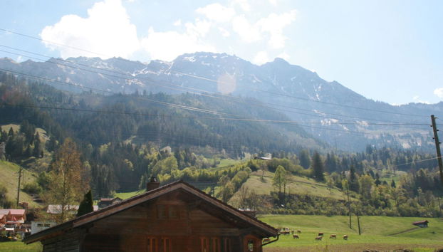 Apartment mit 1 Schlafzimmer in Kandergrund mit garten - Foto 4