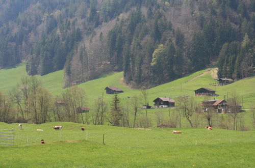 Foto 9 - Appartamento con 1 camera da letto a Kandergrund con giardino