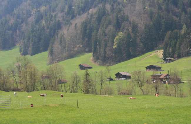 Apartamento de 1 quarto em Kandergrund com jardim - Foto 9