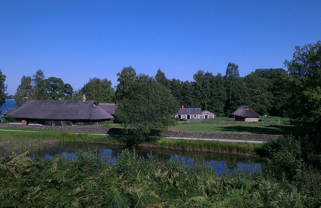 Visita al Museo al Aire Libre de Estonia - Foto 4