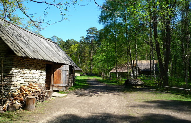 Visita al Museo al Aire Libre de Estonia - Foto 3