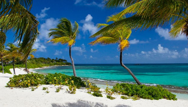 Caribbean Coastline Tour - Foto 5