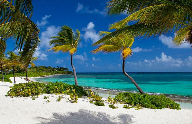 Caribbean Coastline Tour - Foto 5