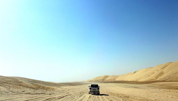 Safari por el desierto - Tour privado - Foto 5