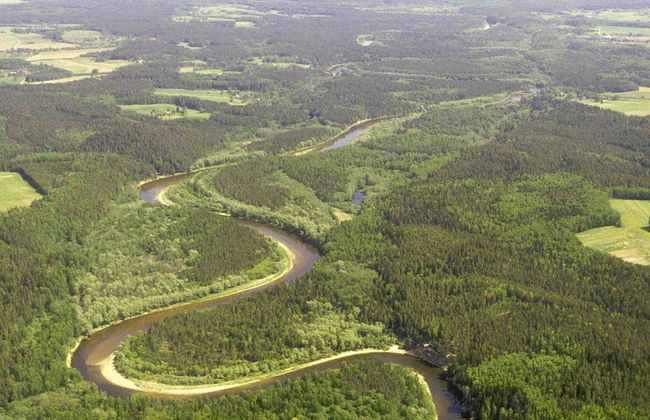 Excursión al Parque Nacional Gauja - Foto 2