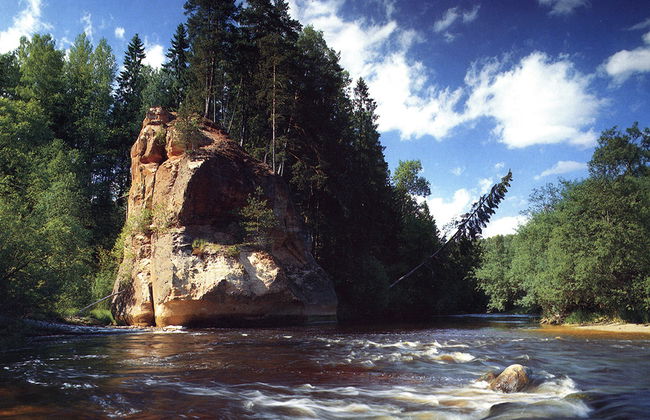 Excursión al Parque Nacional Gauja - Foto 4