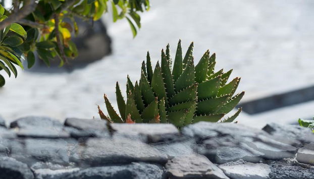 Anchor Suites - Foto 5