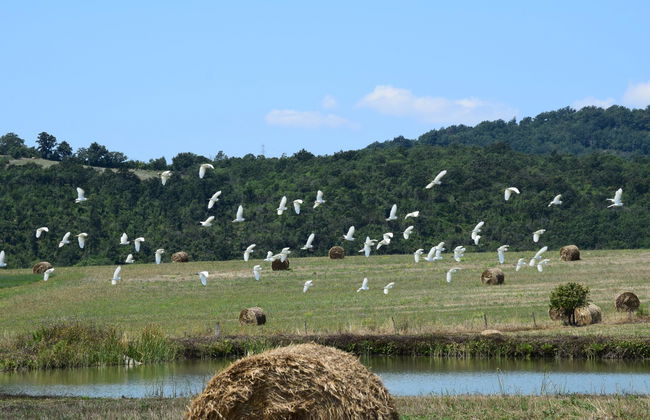 Agriturismo Bio Aia della Colonna - Foto 33