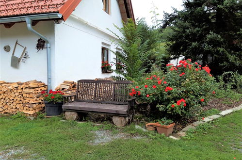 Foto 43 - Casa con 3 camere da letto a Neustift bei Güssing con giardino e terrazza