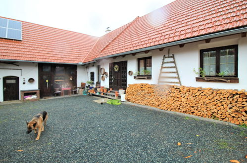 Foto 41 - Casa de 3 quartos em Neustift bei Güssing com jardim e terraço