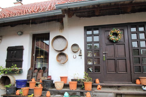 Foto 40 - Casa de 3 quartos em Neustift bei Güssing com jardim e terraço