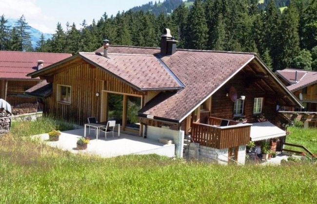 Apartamento de 1 quarto em Adelboden - Foto 1