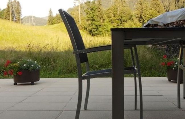 Apartamento de 1 quarto em Adelboden - Foto 23