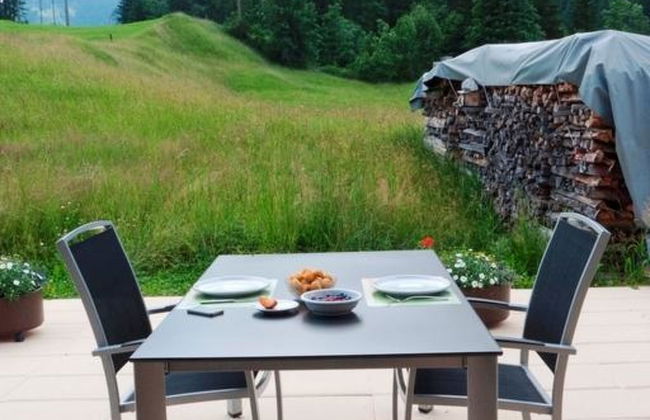 Apartamento de 1 quarto em Adelboden - Foto 22