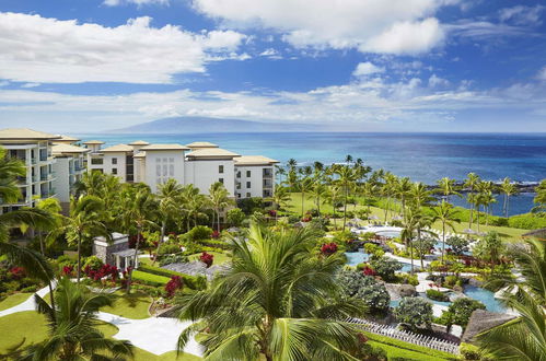 Photo 11 - Montage Kapalua bay