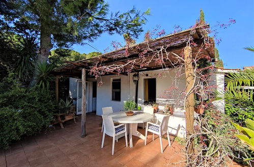 Photo 24 - Maison de 2 chambres à Monte Argentario avec piscine et jardin