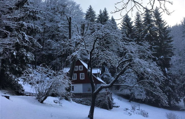 Casa de 3 quartos em Desná com jardim e terraço - Foto 35