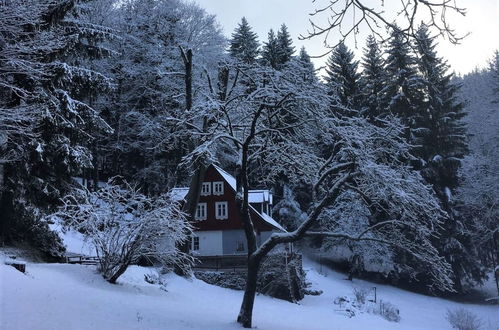 Foto 28 - Casa de 3 quartos em Desná com terraço e sauna