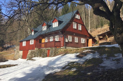 Photo 34 - Maison de 3 chambres à Desná avec terrasse et sauna