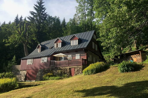 Photo 26 - Maison de 3 chambres à Desná avec terrasse et sauna