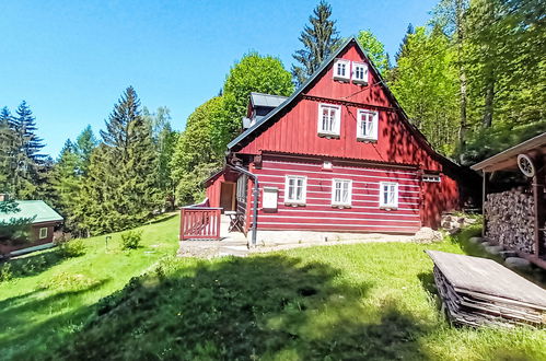 Photo 36 - Maison de 3 chambres à Desná avec terrasse et sauna