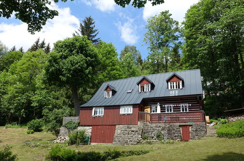 Foto 23 - Casa de 3 quartos em Desná com terraço e sauna