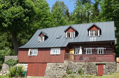 Photo 32 - Maison de 3 chambres à Desná avec jardin et terrasse